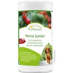 PerNaturam Perna Junior 100 g – Hledejceny.cz