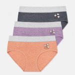 Dámské bavlněné kalhotky se středním pasem CZ8088 3 ks v balení Multicolor – Hledejceny.cz