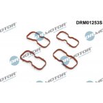 Sada těsnění, koleno sacího potrubí Dr.Motor Automotive DRM01253S
