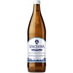 Vincentka léčivá pramenitá voda 6 x 0,7 l – Hledejceny.cz