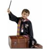 Dětský karnevalový kostým Sada Kufr Harryho Pottera