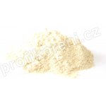 Profikoření Česnek mletý 1 kg – Hledejceny.cz