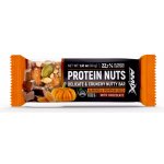 AMIX Protein Nuts Bar 40 g – Zboží Mobilmania