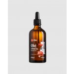 Olini Lososový olej pro psy a kočky 100 ml – Hledejceny.cz