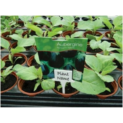 Garland Plant Label, bílé popisovací štítky, 10ks – Hledejceny.cz