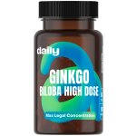 Daily Ginkgo Biloba High Dose 90 kapslí – Hledejceny.cz