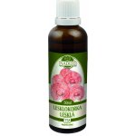 Milota Lesklokorka lesklá Reishi 50 ml – Hledejceny.cz