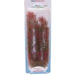 Tetra rostlina Red Foxtail Plus 30 cm – Hledejceny.cz