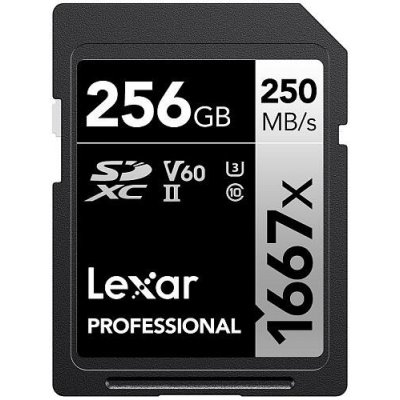 Lexar 256GB LSD256CB1667 – Zboží Mobilmania