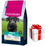 Eukanuba Adult Large Breed Chicken 15 kg – Hledejceny.cz