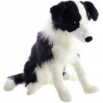 Pes border kolie – Sleviste.cz