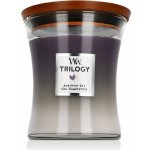 WoodWick Trilogy Amethyst Sky 275 g – Zboží Mobilmania