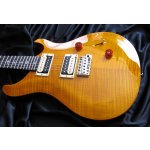 PRS SE CUSTOM 24 – Zbozi.Blesk.cz