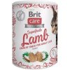 Pamlsek pro psa Brit Care Cat Snack Superfruits Lamb 100 g
