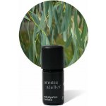 Aroma ateliér éterický olej Eukalyptus radiata 5 g – Hledejceny.cz