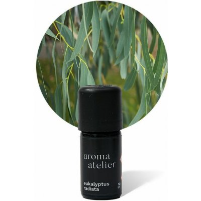Aroma ateliér éterický olej Eukalyptus radiata 5 g – Hledejceny.cz