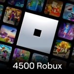 Roblox herní měna 4 500 Robux – Zboží Dáma