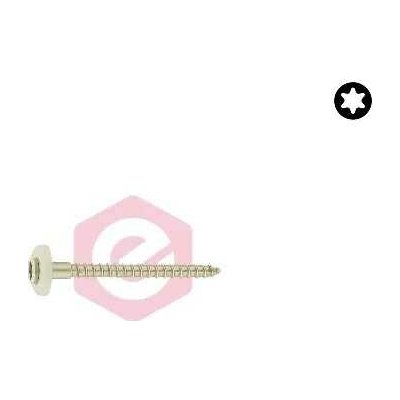 Vrut ČH TORX+podl.15mm A2 4,5x050 – balení 200 ks – Hledejceny.cz