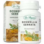 Dr. Popov Boswellia Serrata Kadidlovník extrakt 60 kapslí – Hledejceny.cz
