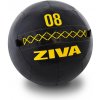 Medicinbal Ziva ZVO Premium Wall Ball 3kg