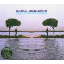  Dickinson Bruce - Skunkworks CD