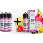 Infamous Shake & Vape Elixir Dragonberry 10 ml – Zboží Mobilmania