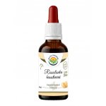 Salvia Paradise Rosolovka řasotvará AF tinktura 50 ml – Hledejceny.cz