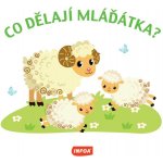 Co dělají mláďátka? – Hledejceny.cz