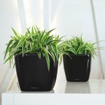 Lechuza Květináč Quadro LS Antracit 21 cm – HobbyKompas.cz