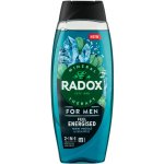 Radox Sprchový gel a šampon pro muže 2v1 Feel Energised 450 ml – Hledejceny.cz