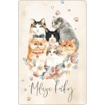 Bohemia Gifts Aromatická karta Miluju kočky 10,5 x 16 cm – Hledejceny.cz