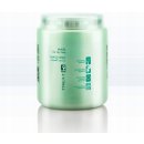 ING Treating Mask For Dry Hair - maska pro suché vlasy 1000 ml