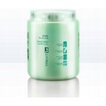 ING Treating Mask For Dry Hair maska pro suché vlasy 1000 ml – Zboží Dáma