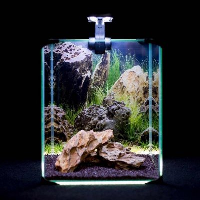 Diversa Neo Light Rock/Plant akvarijní set 20 l