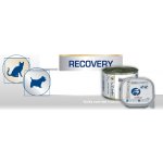 Royal Canin Veterinary Diet Cat & Dog Recovery 195 g – Zboží Mobilmania