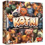 Koťátka – Zboží Živě