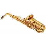 Yamaha YAS 875 EX – Zboží Dáma