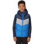 Regatta Lofthouse dětská vesta modrá RKB062 – Zboží Dáma