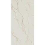 Paradyz Vesis R-R-0,6X1,2-1-VESI.GO 59,8 × 119,8 cm gold matná 1,43 m2 – Hledejceny.cz