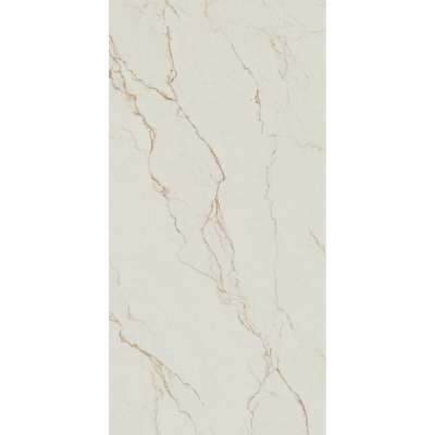 Paradyz Vesis R-R-0,6X1,2-1-VESI.GO 59,8 × 119,8 cm gold matná 1,43 m2 – Hledejceny.cz