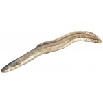 Gaby Polštář Úhoř říční 115cm – Zboží Dáma