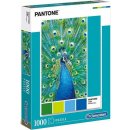  Clementoni Pantone Modrý páv 39495 1000 dílků