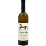 Papari Valley Chinuri Rkatsiteli Kvevri bílé suché víno 2020 12,5% 0,75 l (holá láhev) – Hledejceny.cz