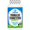 Lionlab Tribulus Terrestris Premium XXL 180 kapslí