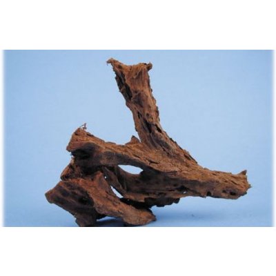 Flamingo kořen Driftwood 12-25 cm