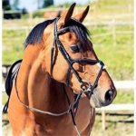Horze Kožená uzdečka Prescott s mexickým nánosníkem hnědá – Zboží Mobilmania