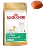 Royal Canin Zlatý retrívr Junior 2 x 12 kg – Hledejceny.cz