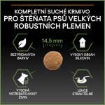 Purina Pro Plan Large Puppy Robust Healthy Start kuře 2 x 3 kg – Hledejceny.cz