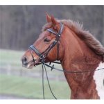 HORZE Uzdečka Venice černá – Zboží Dáma