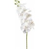 Květina Umělá orchidej bílá perleťová 106 cm